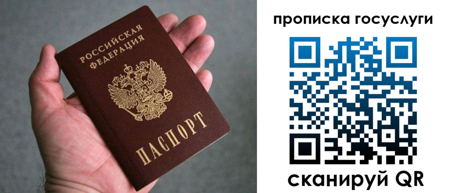 прописка 2025 в Сосенском